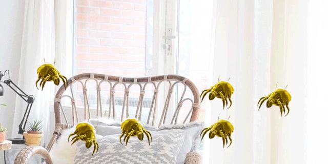 洗衣服加点它，越穿越有千元香水味，留香好几天