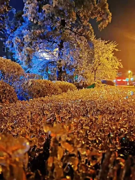 延边滑雪东北已率先进入雪季,延边开启滑雪季快来嗨翻冬天