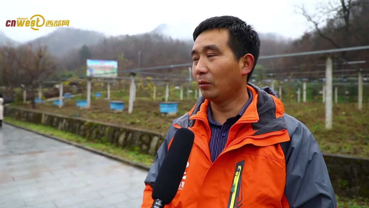 突出富民导向带动群众多渠道增收,提质增效保证贫困户稳定增收