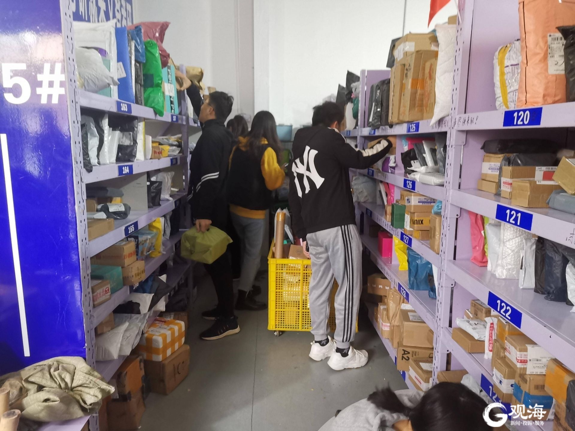 驻青高校双十一“群像”：考研族疯狂囤课，化妆品电子产品最“吞金”