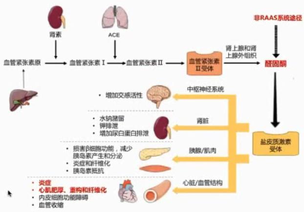 规范HFrEF的药物治疗——RAAS*制剂抑**与MRA