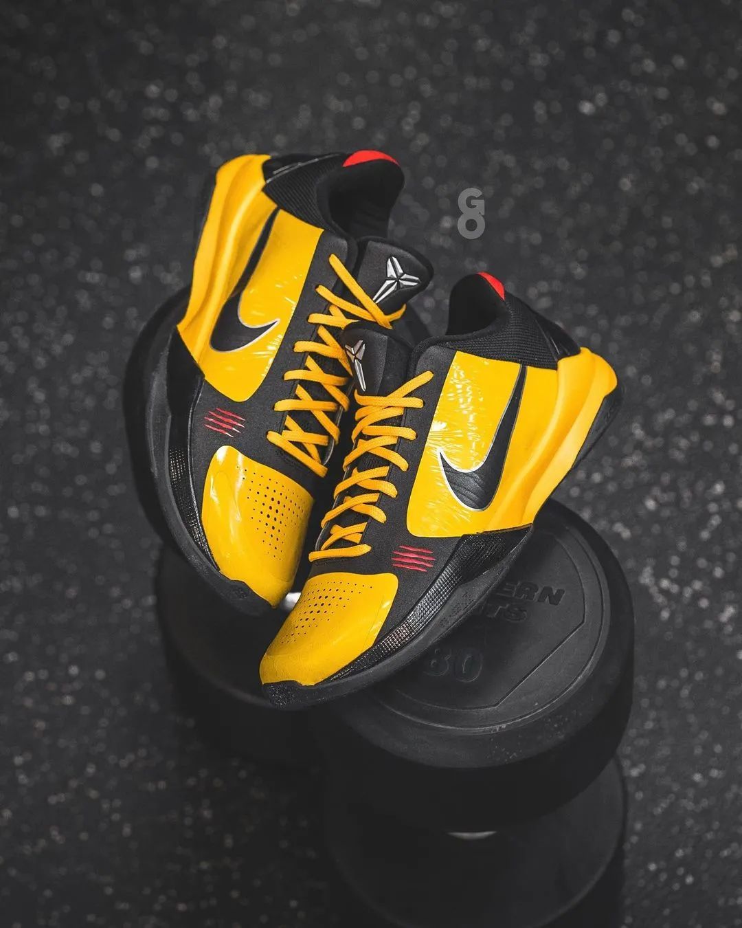 kobe5会不会降价,kobe5李小龙原价