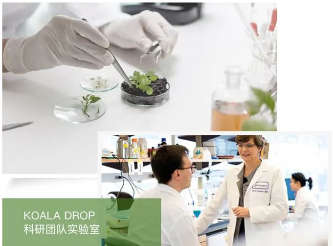 口臭的解决方法胃不好,口臭是不是胃不好了应该怎么调理