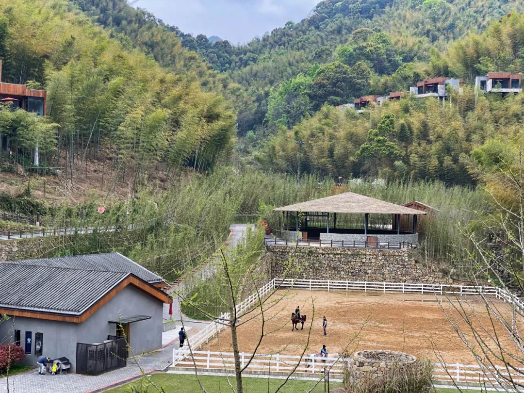 宁海安岚温泉度假酒店,宁海安岚酒店日式温泉
