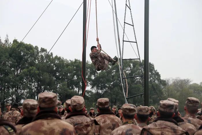 寒风中彼此鼓励,寒风中它们依然是城市的守护者
