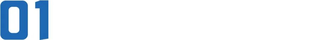 日本恶女电影解说,日本第一黑帮之女