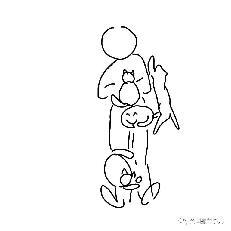 多猫家庭猫咪也会尿闭吗,多猫家庭为什么不能洗澡