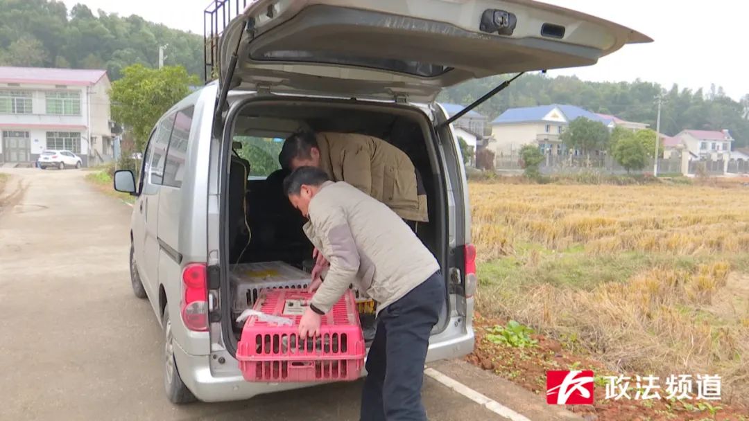 长沙买鸭的地方,长沙买鸭