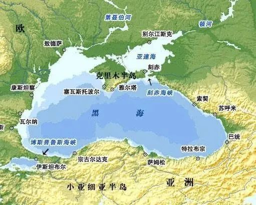 林子大了什么鸟都有下一句是什么,林子大了啥鸟都有讽刺图片