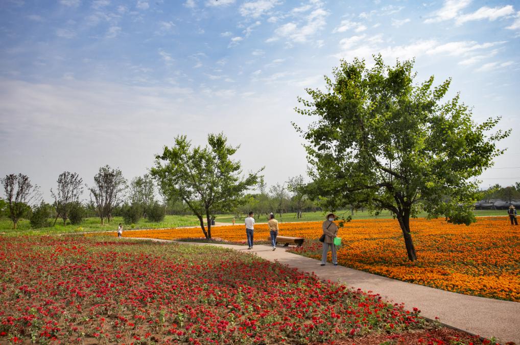 杜邑公园雪景,杜邑遗址公园6月风景