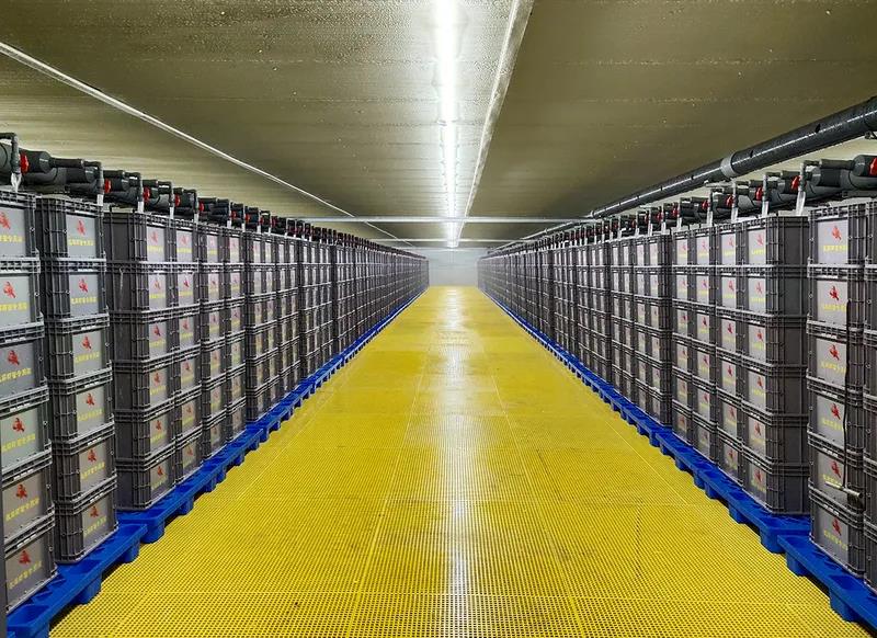 小龙虾离开塘口还能存活长达6个月！低温仓储暂养技术，实现小龙虾全年鲜活供应