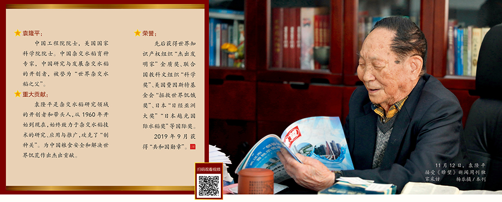 袁隆平的禾下乘凉梦作文,袁隆平禾下乘凉油画教程