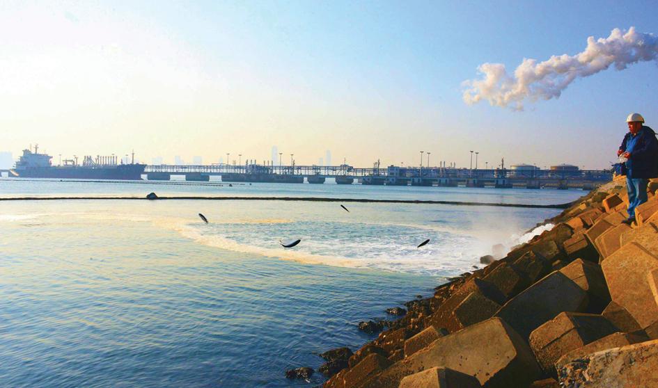 视察恒力大连石化,大连石化公司新媒体