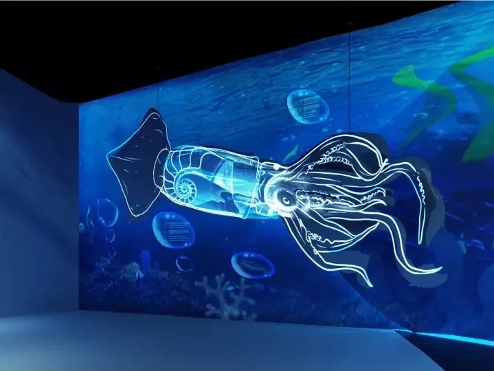 定海游玩推荐适合带孩子,舟山定海带娃好去处