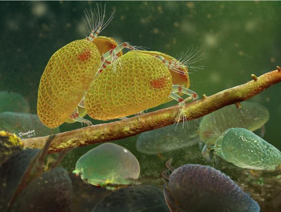 科学家发现上亿年前的信号,科学家发现精子质量