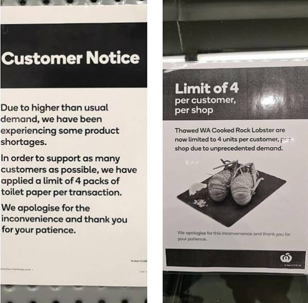 澳大利亚龙虾进口最新消息,澳大利亚龙虾出口