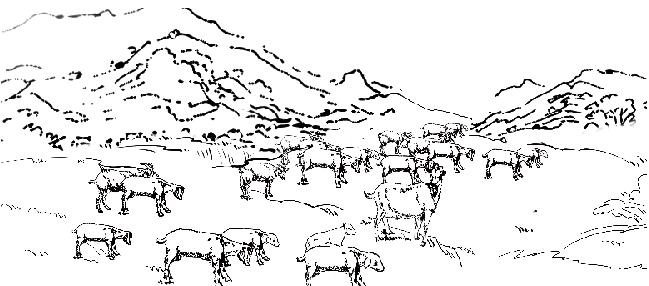 鍐閲岀殑缇婄兢,娣卞北閲岀殑缇婄兢