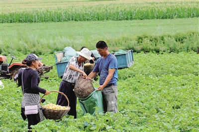从电商到直播发展,从传统电商到社交电商到直播带货