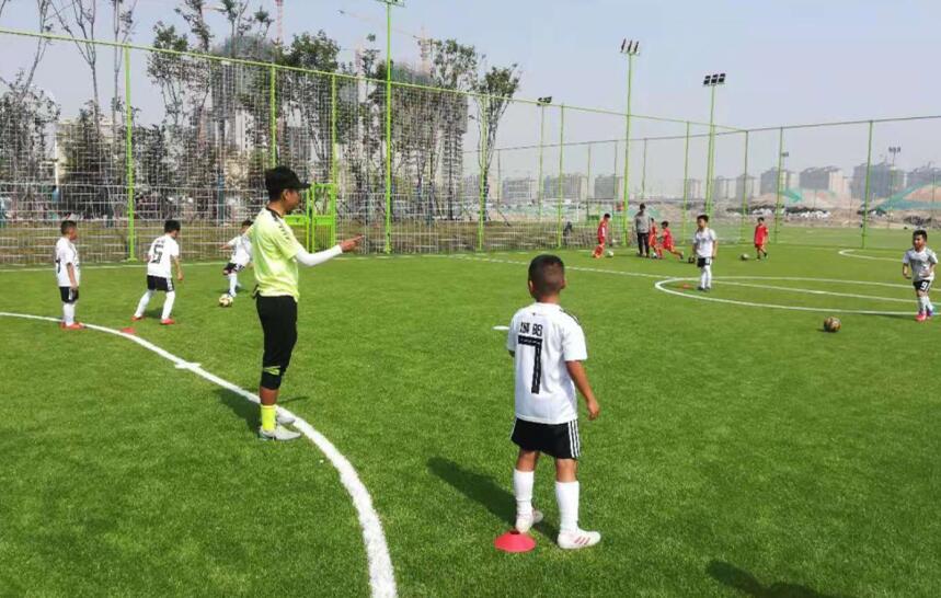 体教融合模式,体教融合加快发展