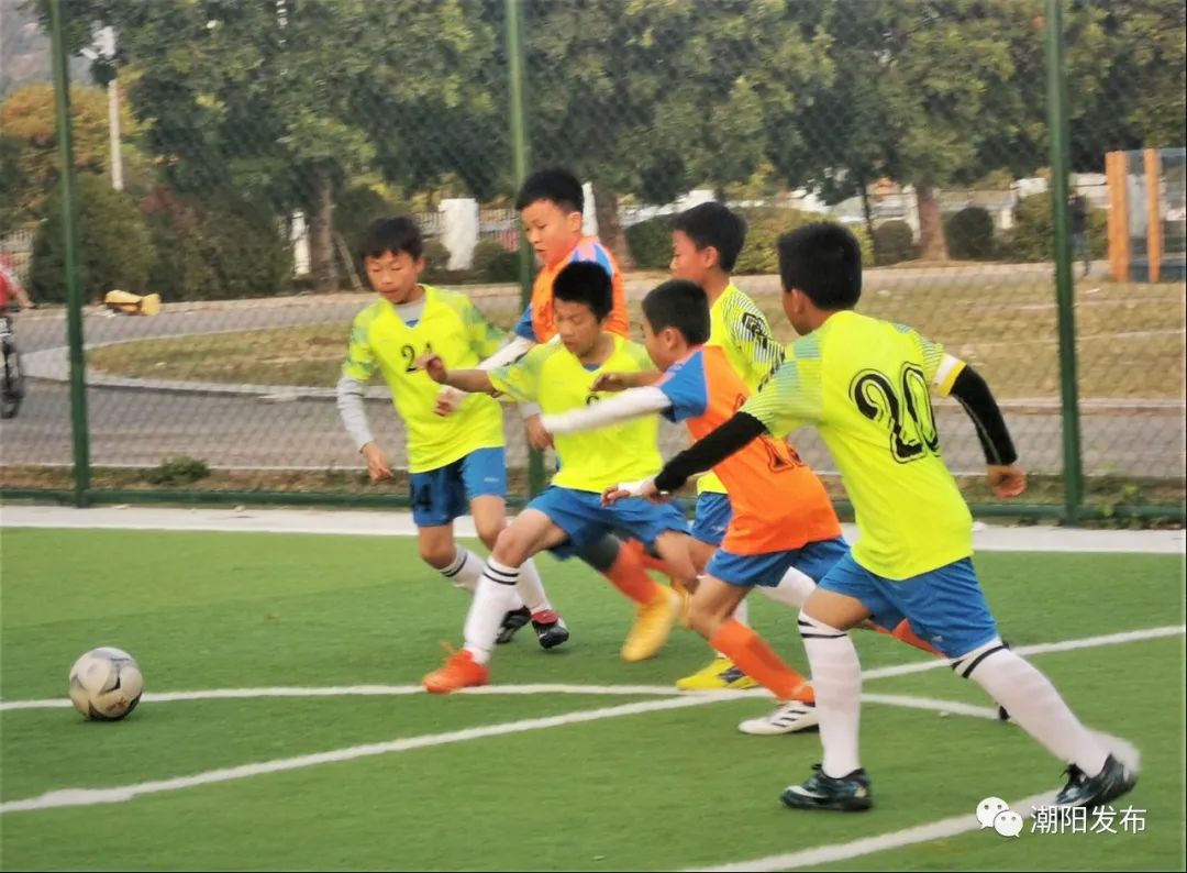 姹曞ご浜氶潚浼氭疆闃冲尯,缁胯尩鐩涘喌