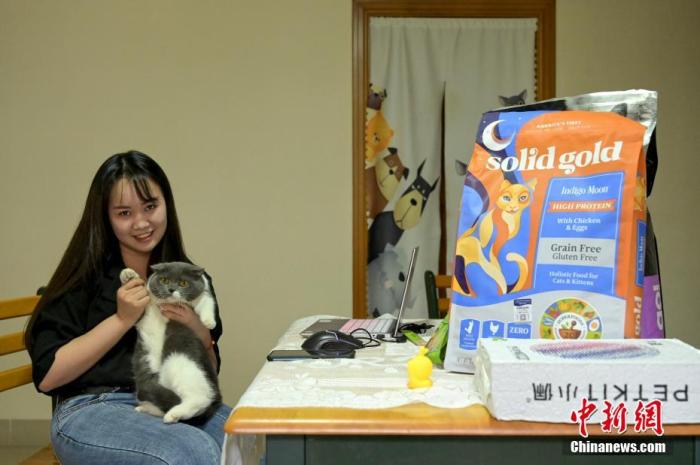 猫咪铲屎官的呼唤,猫咪听铲屎官的召唤