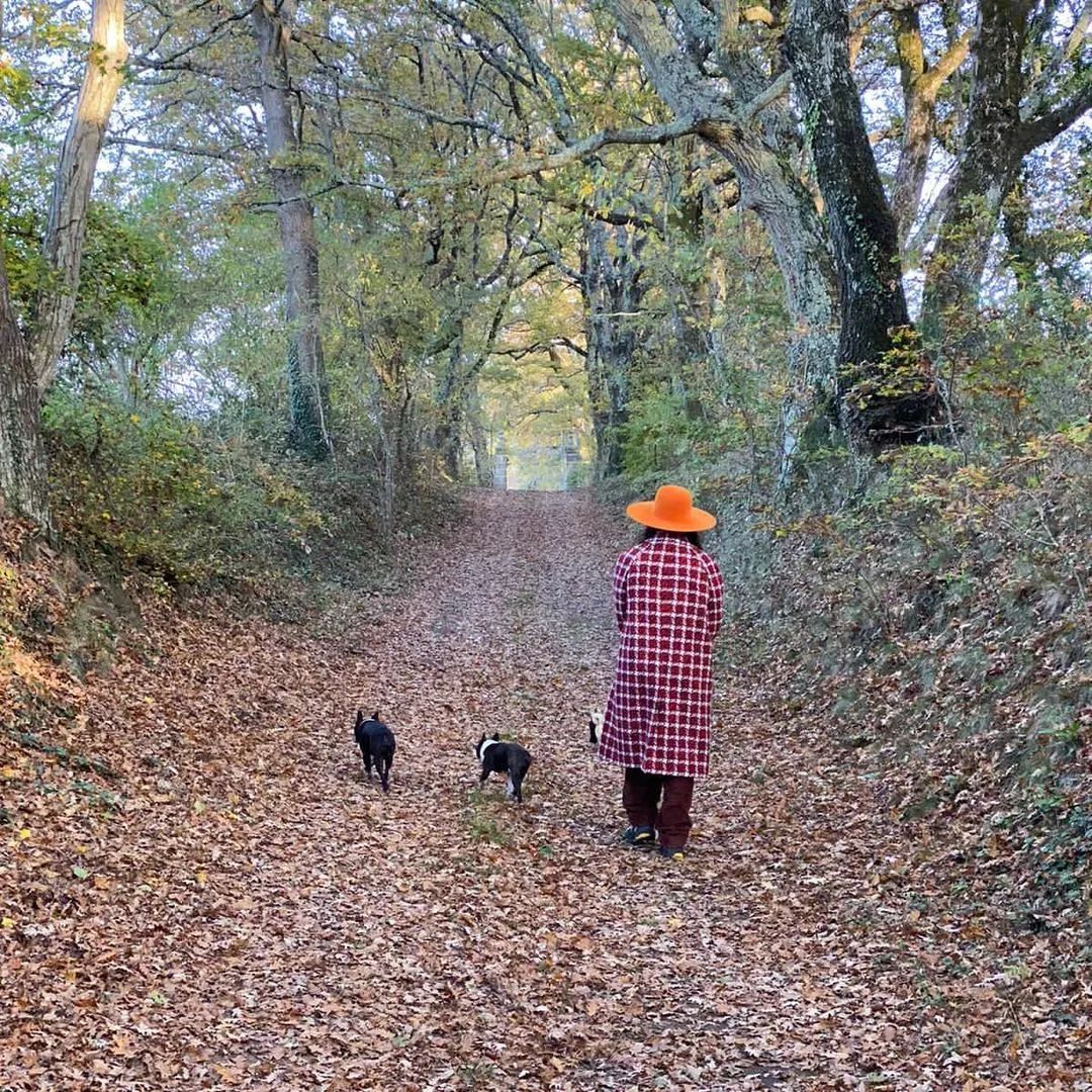 为什么满大街都是穿北面羽绒服的,北面羽绒服700和900的区别