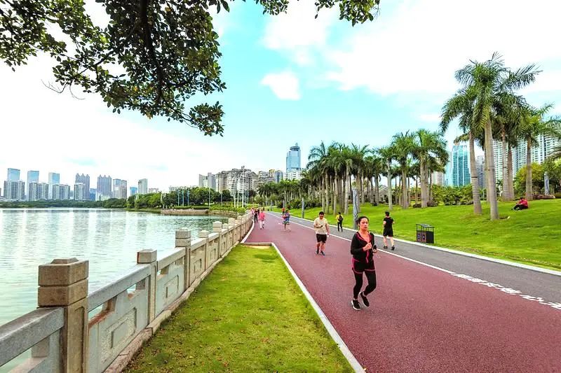 广西南宁青秀区风景区,南宁青秀区景区推荐