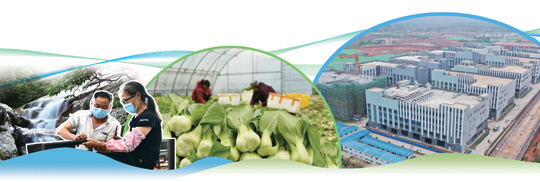 安居乐业幸福长——2020年蓝山县创新发展纪实