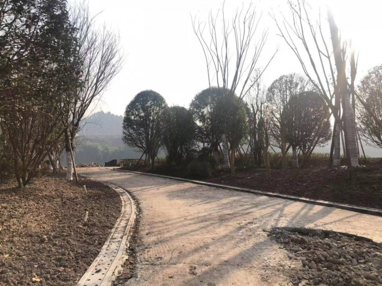 高家坝足球公园,达州高家坝足球公园