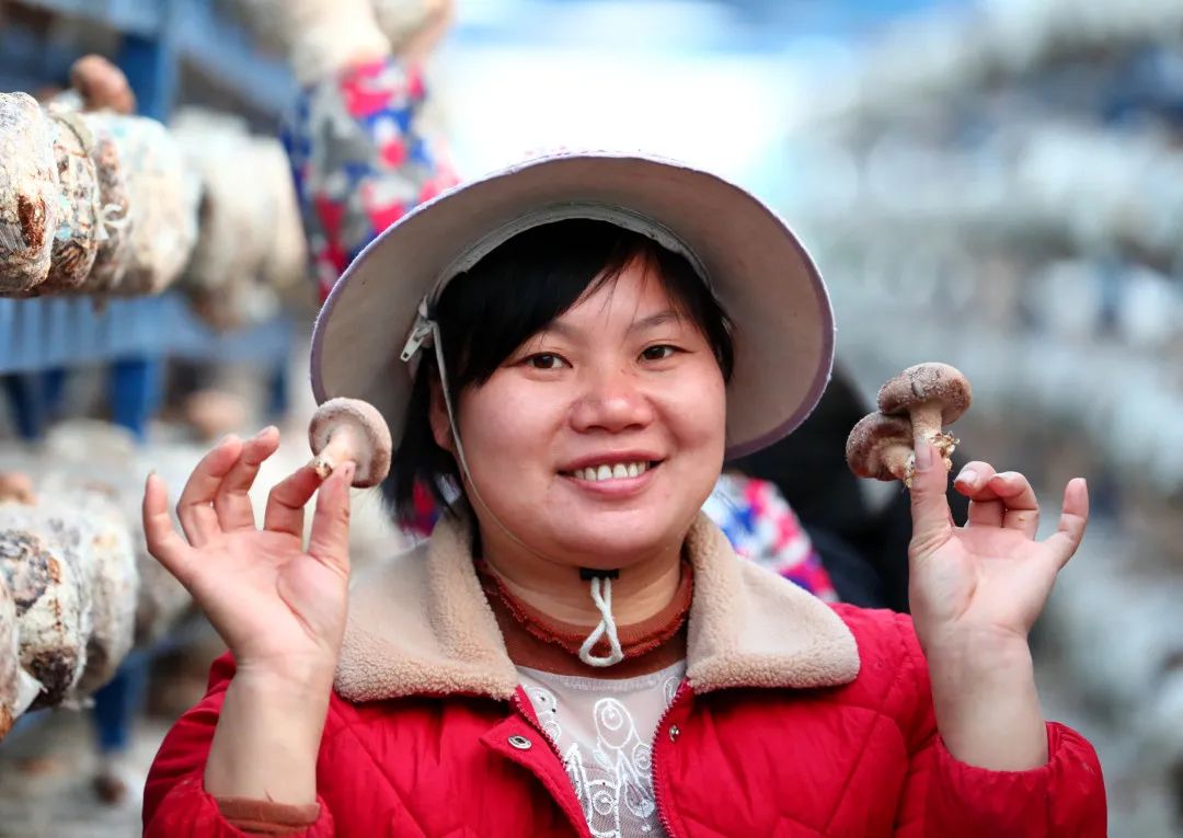 【关注】我县香菇产业飞上《人民日报》，看美味香菇如何做出可口菜肴！