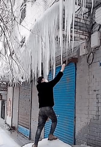 东北人有多火视频,东北人怎么火起来的