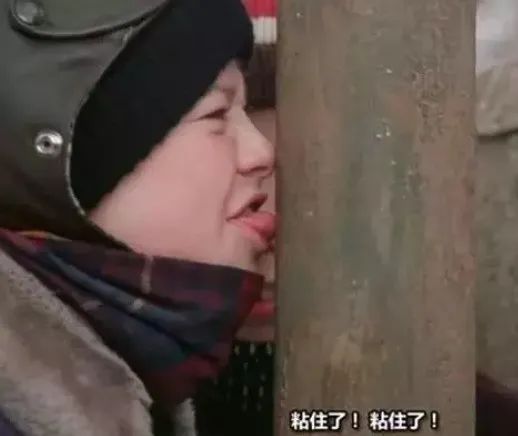 东北人有多火视频,东北人怎么火起来的