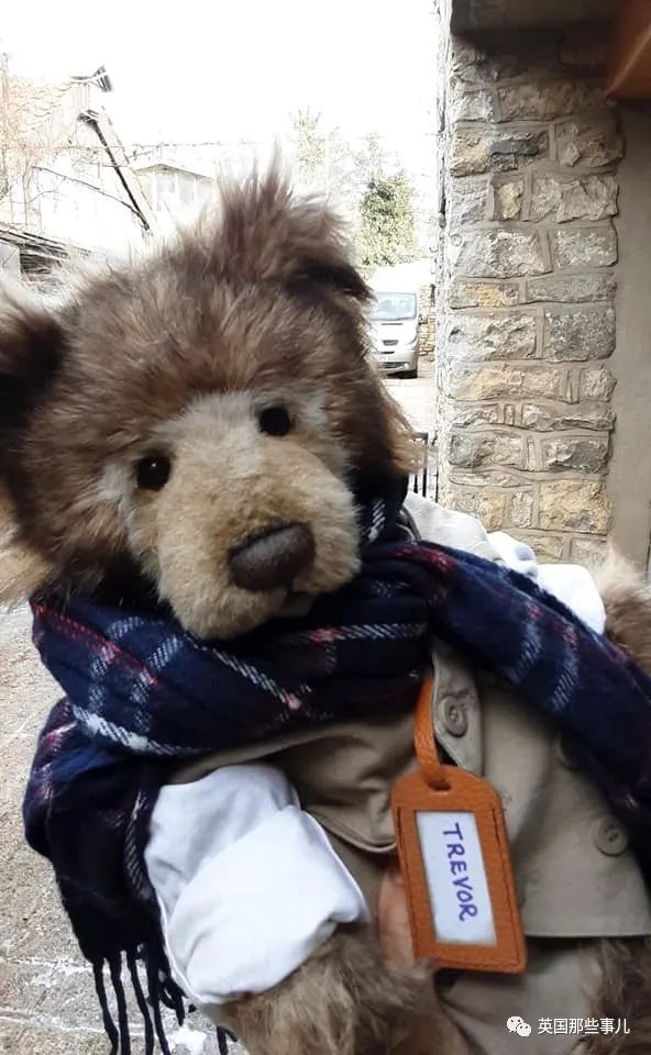 泰迪熊治愈,治愈泰迪熊