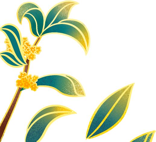 除去身体湿气,除去体内湿气