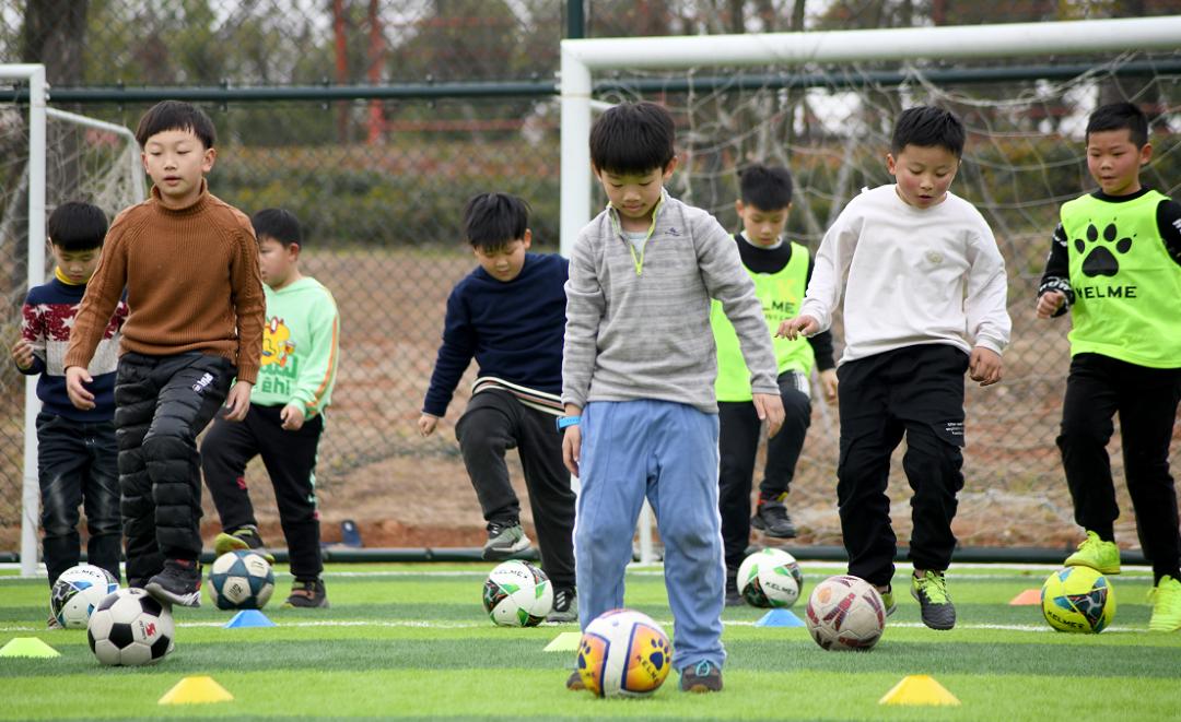 寒假学乒乓球,寒假学轮滑好吗