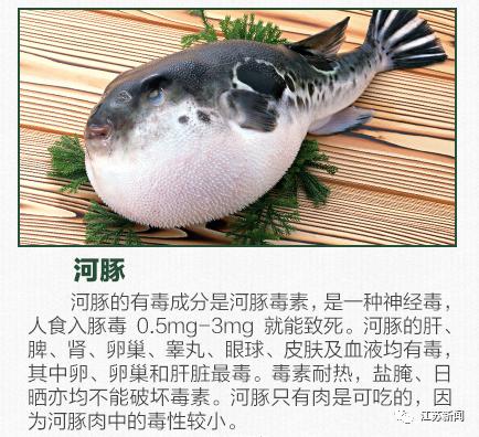 男子聚餐醉酒后死亡法院这样判,男子做了一道菜好友中毒