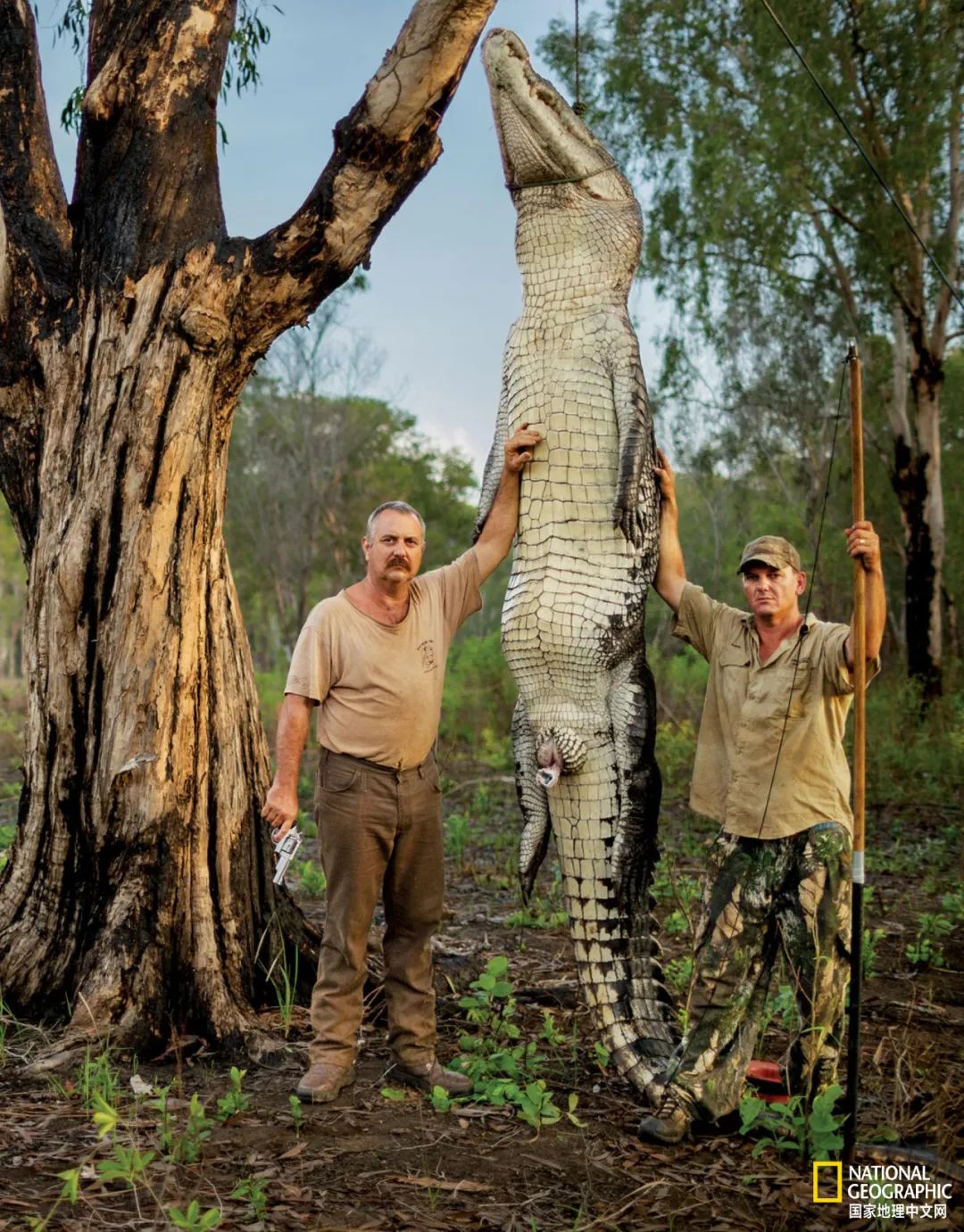 槌勯奔鑱屼笟鐚庝汉,槌勯奔鐚庝汉骞磋柂