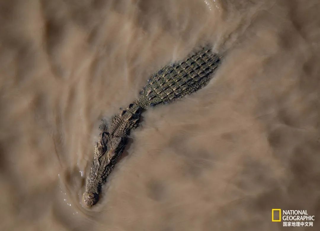 槌勯奔鑱屼笟鐚庝汉,槌勯奔鐚庝汉骞磋柂