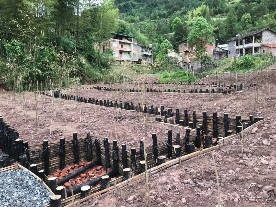 图解20,回望2020展望2021图片