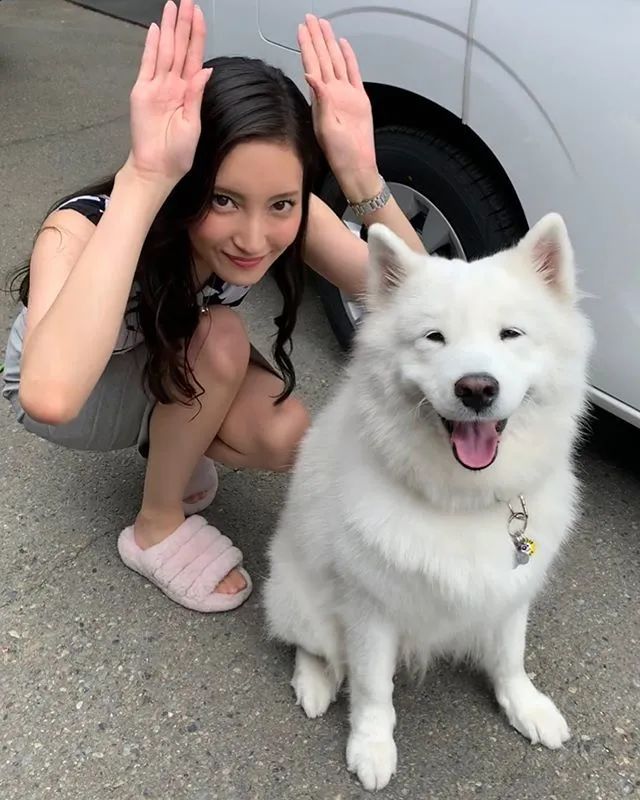 日本第一反派美女,日本第一女间谍经典传奇