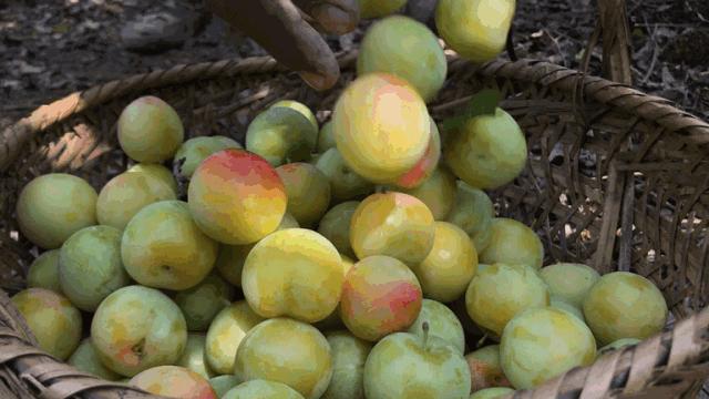 无锡口味独特吗,无锡的味道