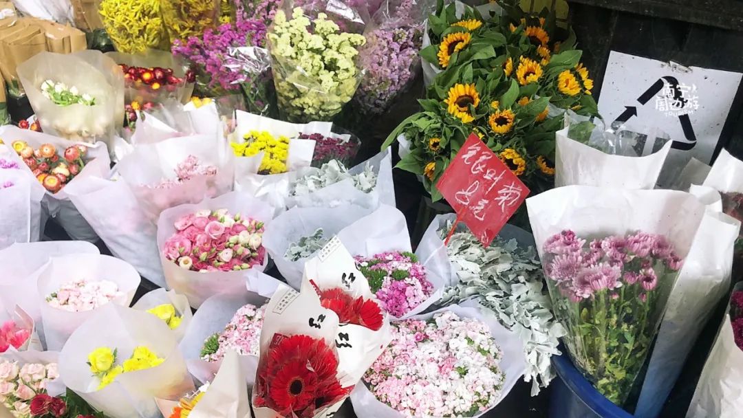 南宁赏花2022,赏花攻略南宁