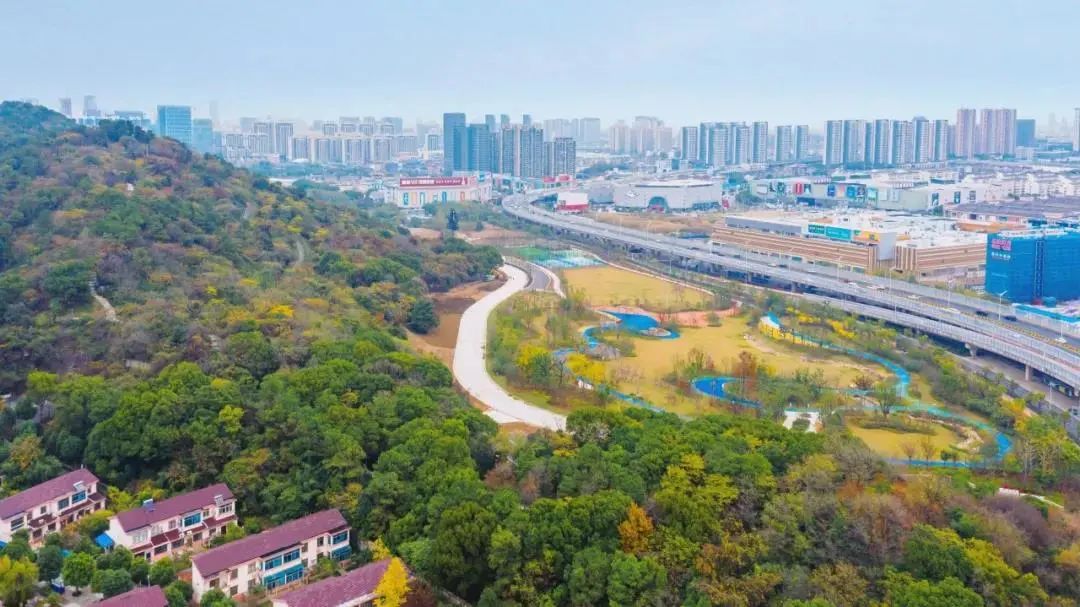 体育公园真人秀,网红体育公园