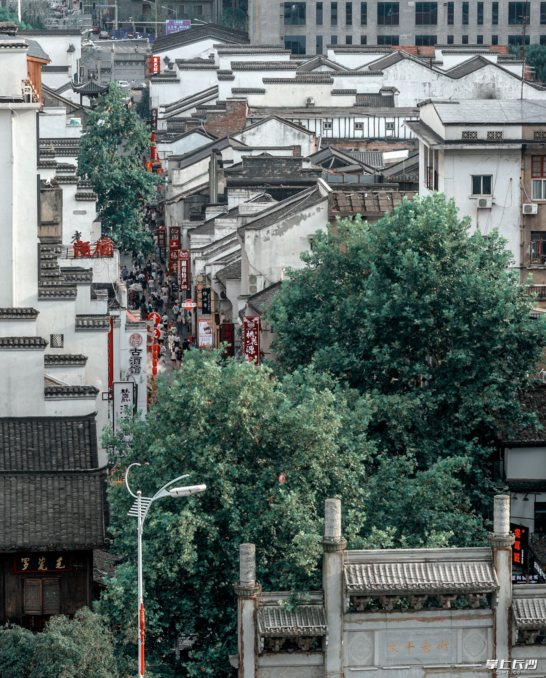 大城之南|晚报特稿