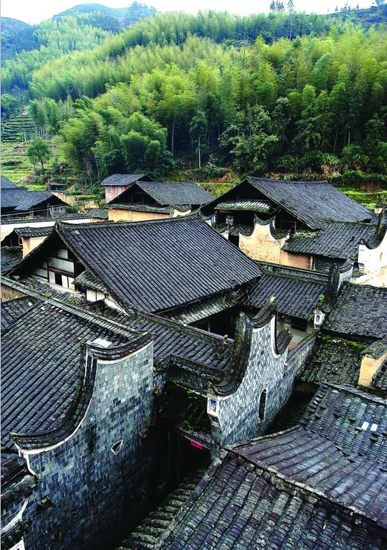 百茶百味|获巴拿马博览会金奖的坦洋工夫，道不尽百年岁月的阵阵茶香