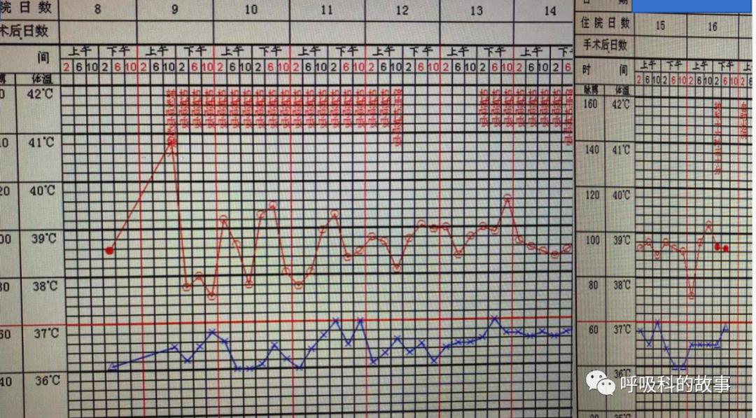 痰液微生物培养注意事项,痰液细菌培养及药敏试验结果
