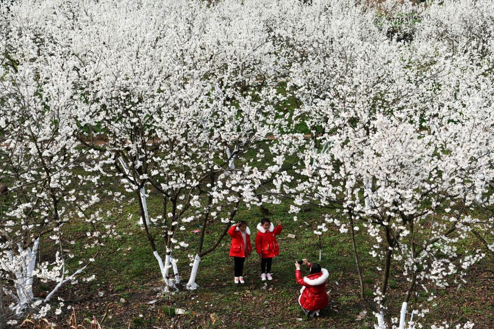 中国脱贫攻坚全纪实,全国脱贫攻坚伟大成功案例