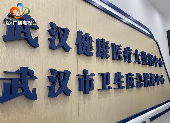 一网全监测、一键达基层——武汉市建成公共卫生应急指挥系统实现“多点触发、智能预警”