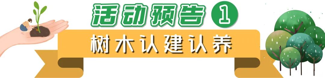 园·灵丨春风十里，不及一抹绿意，植树节系列活动来袭