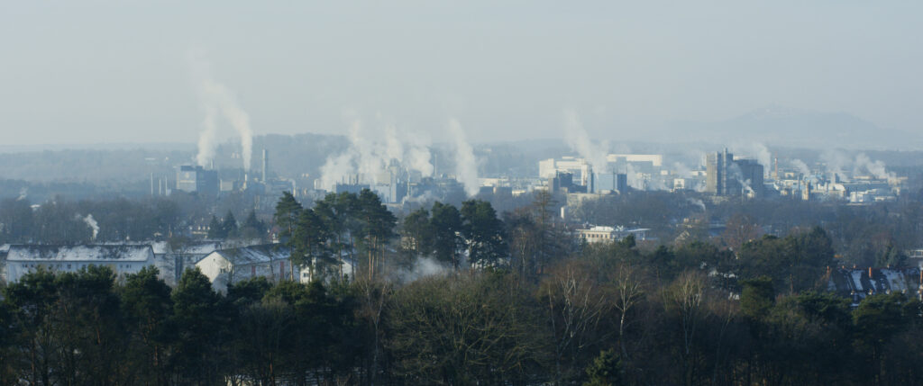 巴赫曼先生和他的学生纪录片,巴赫曼先生和他的学生影评